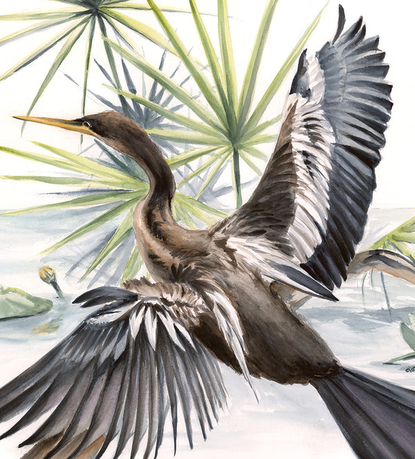 Almighty Anhinga | Fine Art Print | New Orleans | Annie Moran
