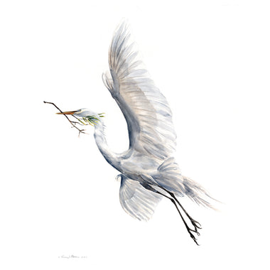 Yang (Soaring Egret with Nest Material) - Fine Art Print
