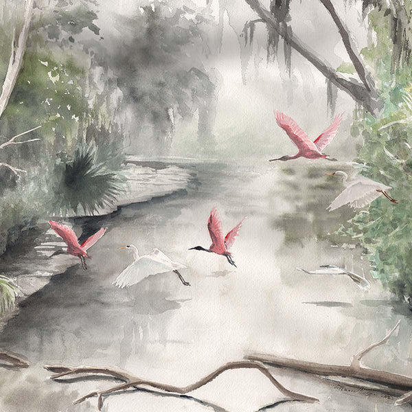 Bayou Magic - Fine Art Print