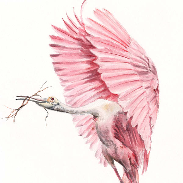 Float On - Fine Art Print