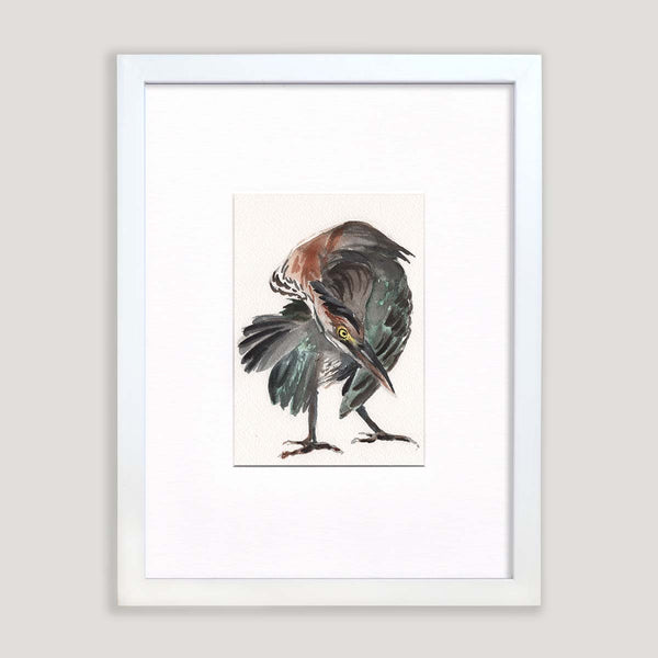 Green Heron Study #3 - Watercolor Original