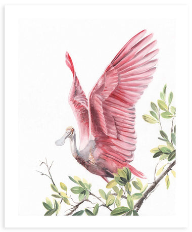 Preparation - Fine Art Print