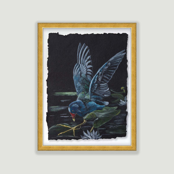 Purple Gallinule - Watercolor Original