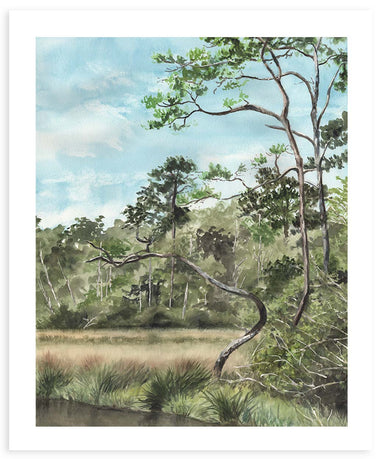 Springs Eternal - Fine Art Print