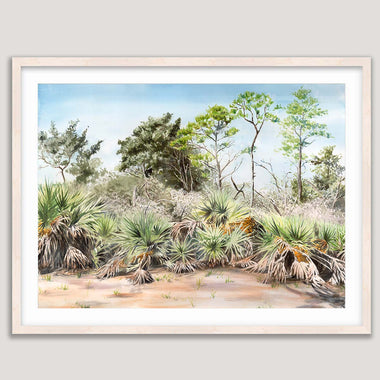 Topsail - Watercolor Original