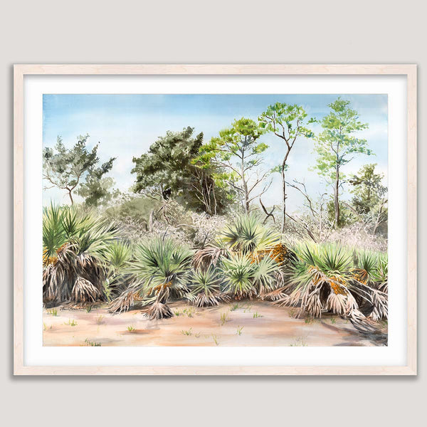 Topsail - Watercolor Original