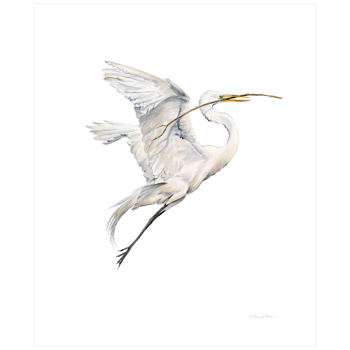 Yin (Soaring Egret with Nest Material 1) - Fine Art Print