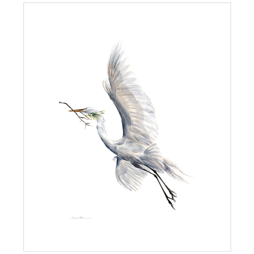Yang (Soaring Egret with Nest Material) - Fine Art Print