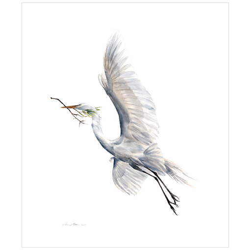 Yang (Soaring Egret with Nest Material) - Fine Art Print