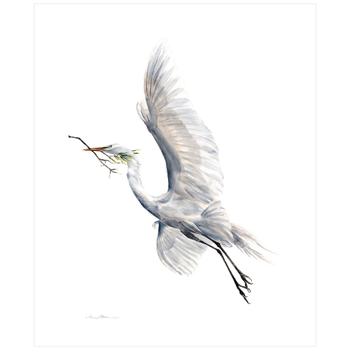 Yang (Soaring Egret with Nest Material) - Fine Art Print