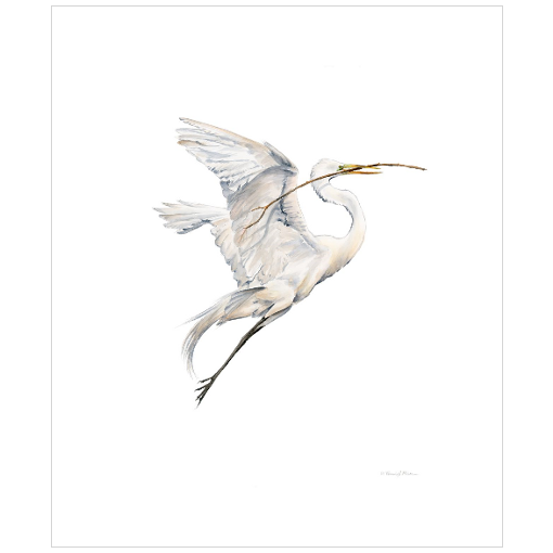 Yin (Soaring Egret with Nest Material 1) - Fine Art Print