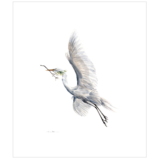 Yang (Soaring Egret with Nest Material) - Fine Art Print