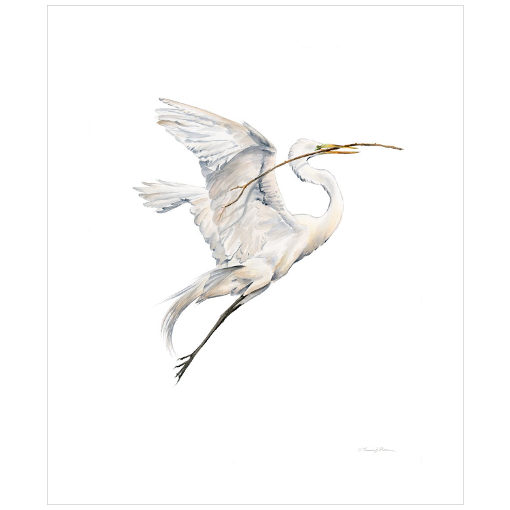 Yin (Soaring Egret with Nest Material 1) - Fine Art Print