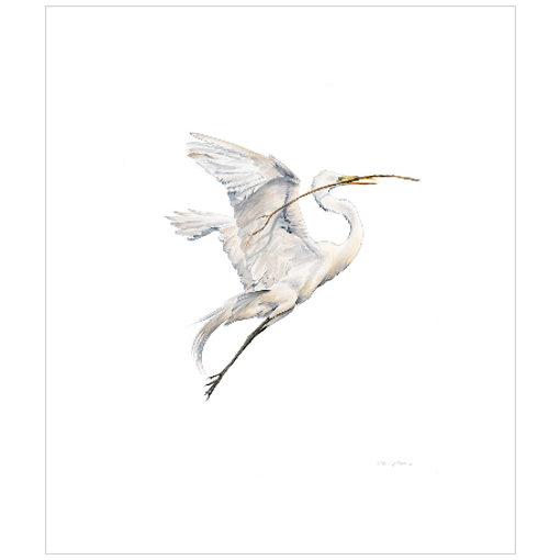 Yin (Soaring Egret with Nest Material 1) - Fine Art Print