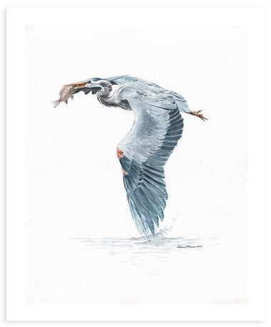 Morsel - Fine Art Print