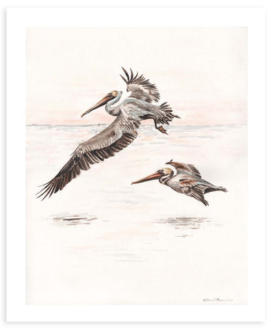 Pelican Sunrise - Fine Art Print