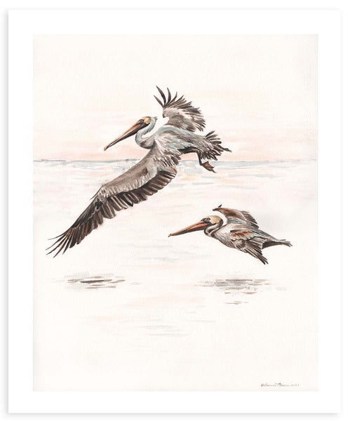Pelican Sunrise - Fine Art Print