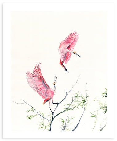 Flaunt and Float - Fine Art Print