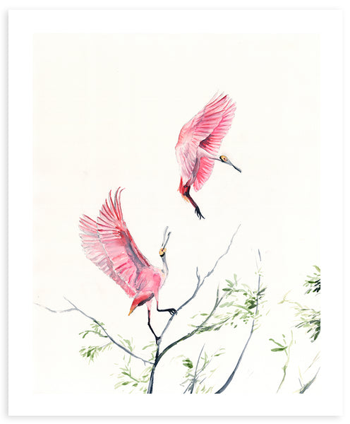 Flaunt and Float - Fine Art Print