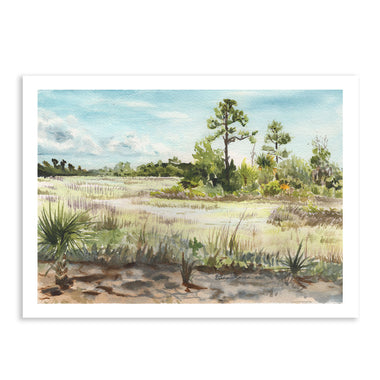 Palmetto Bluff - Fine Art Print