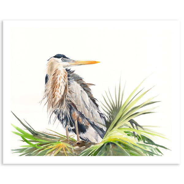 Reflection - Fine Art Print