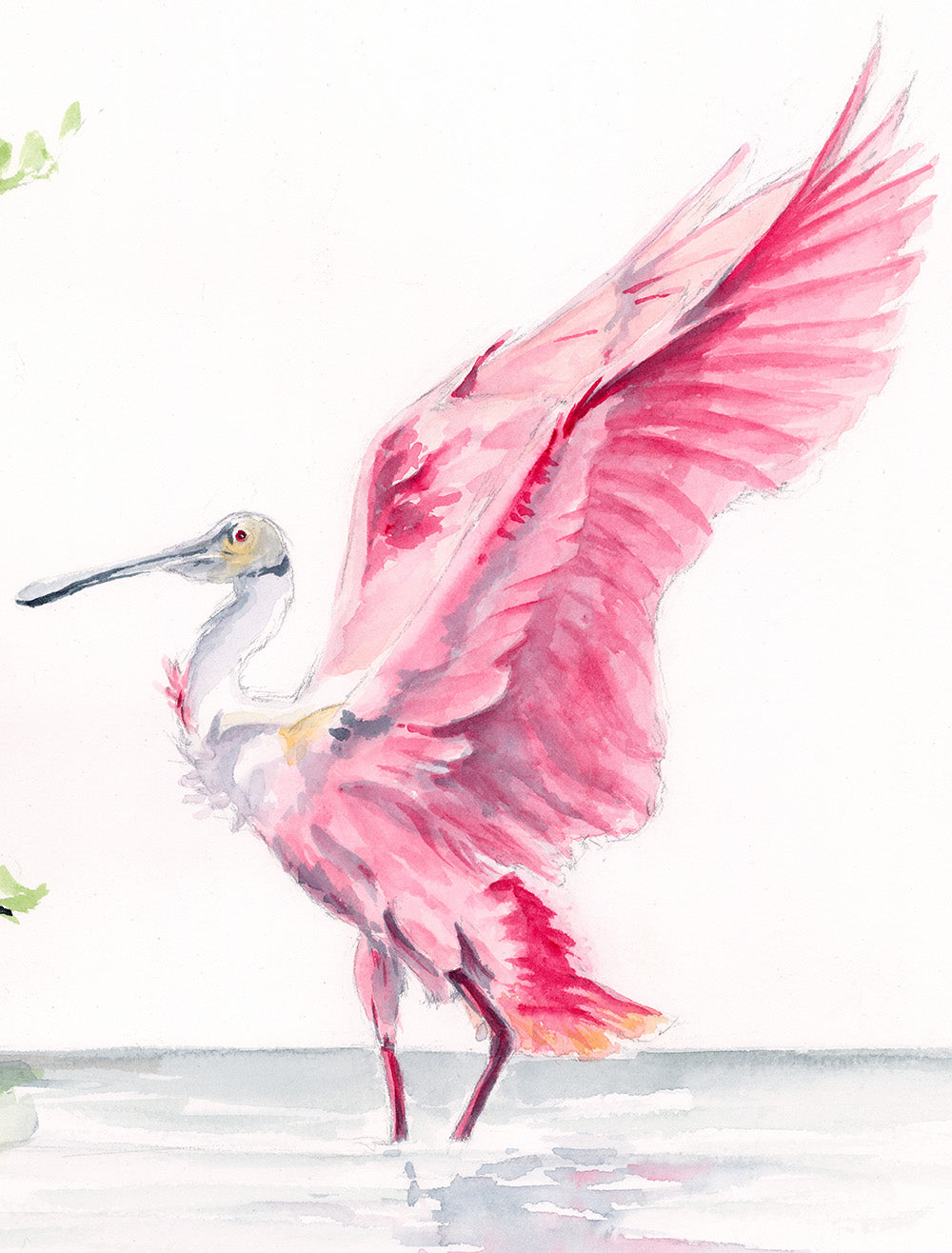 Roseate Spoonbill with Mangrove | Fine Art Print | Watercolor | Annie Moran