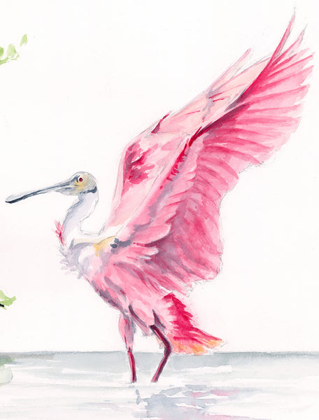 Roseate Spoonbill with Mangrove - Fine Art Print