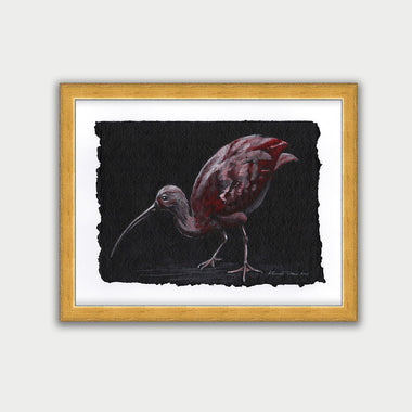 Scarlet Ibis - Watercolor Original