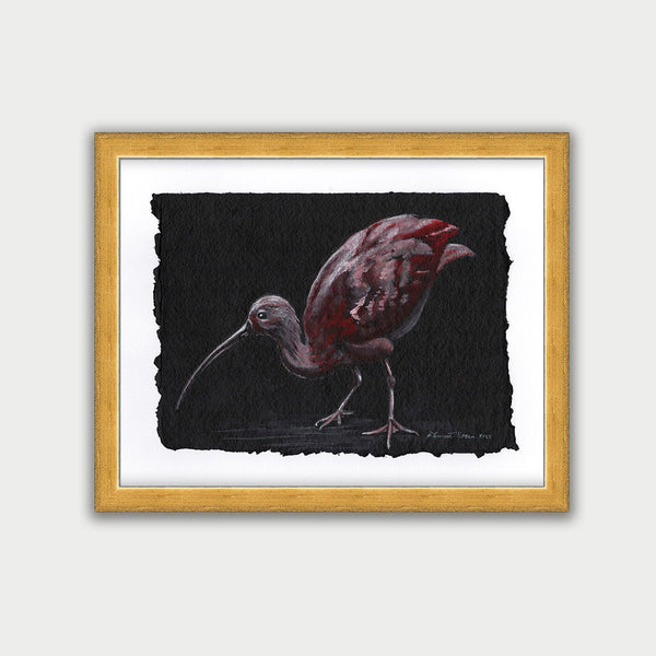 Scarlet Ibis - Watercolor Original