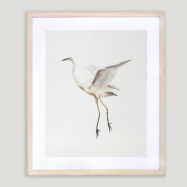 Soaring Egret 2 - Watercolor Original