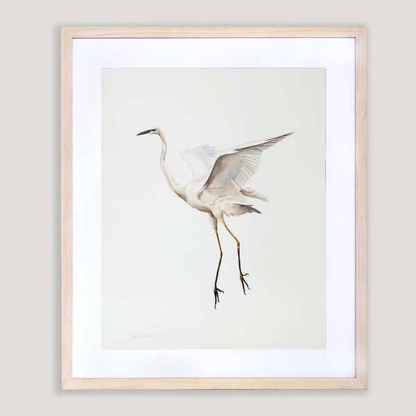 Soaring Egret 2 - Watercolor Original