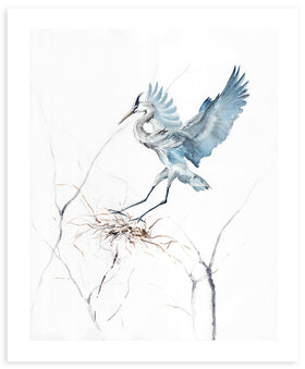 Blue Heron Landing - Fine Art Print - Annie Moran