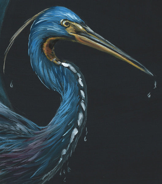Tricolored Heron Dripping - Fine Art Print