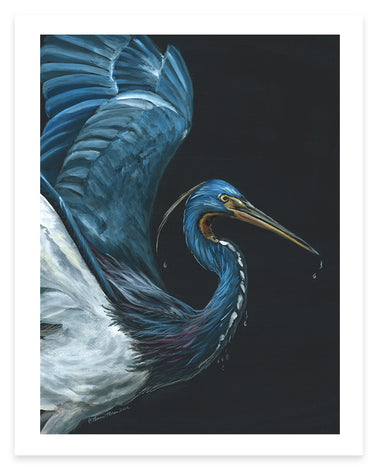 Tricolored Heron Dripping - Fine Art Print