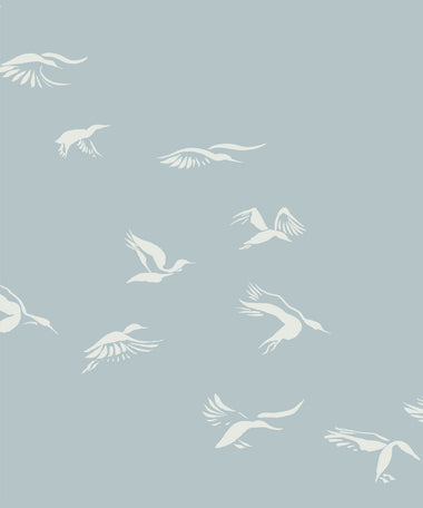 Landing Ducks - Pond