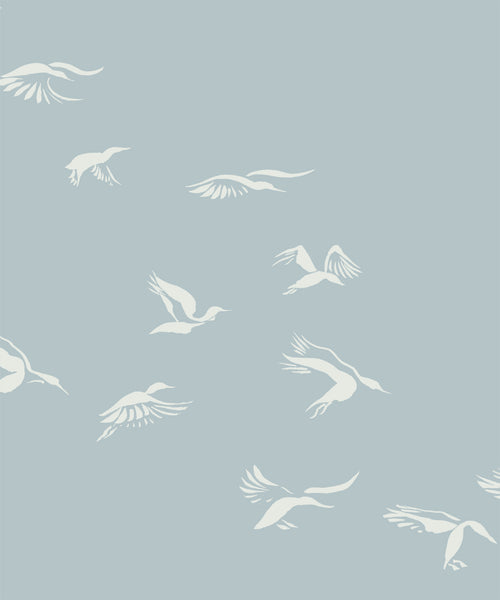 Landing Ducks - Pond