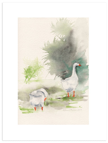Park Geese II - Fine Art Print - Annie Moran