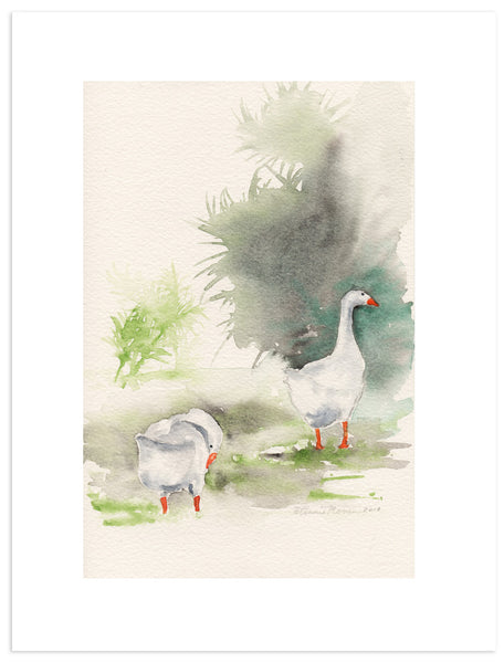 Park Geese II - Fine Art Print - Annie Moran