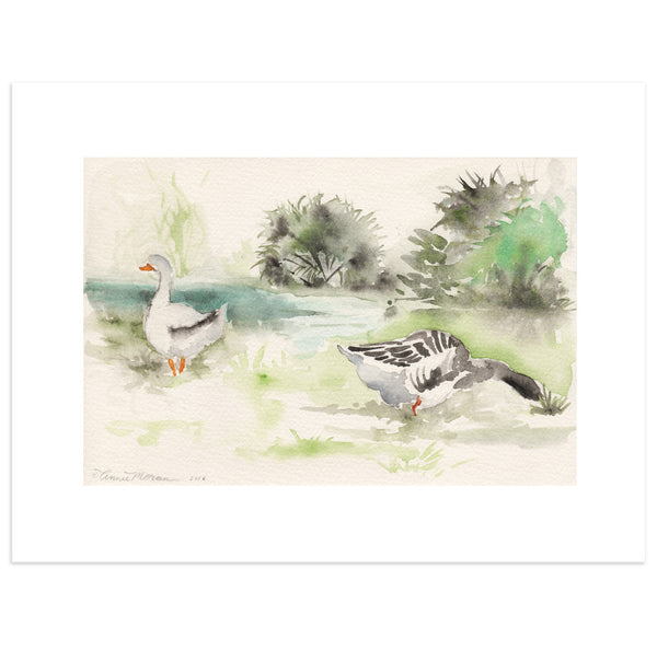 Park Geese III - Fine Art Print - Annie Moran