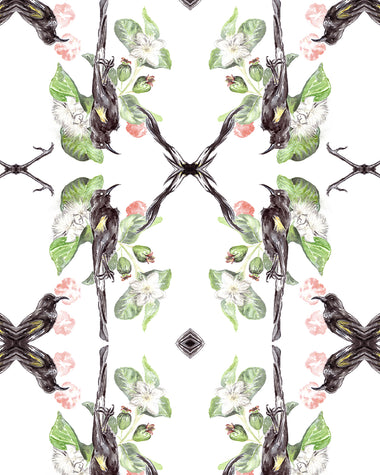 Hawaiian O'o Wallpaper