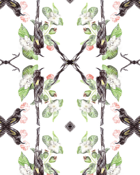 Hawaiian O'o Wallpaper