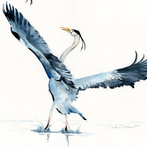 Heron Courtship - Fine Art Print