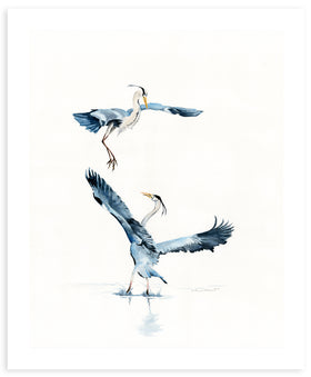 Heron Courtship - Fine Art Print