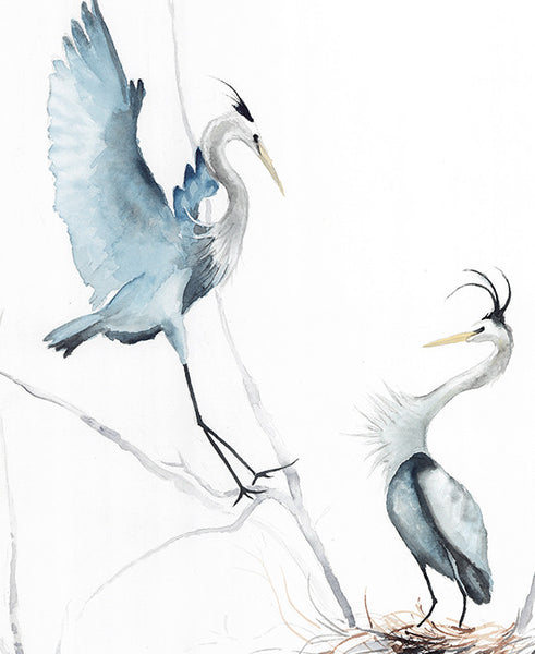 Fine Art Print - two herons in the swampy marsh - Annie Moran