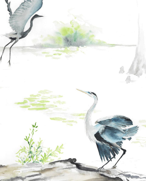 Herons on the marsh - Fine Art Print - Annie Moran