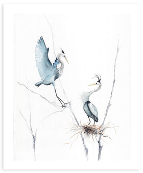 Fine Art Print - two herons in the swampy marsh - Annie Moran