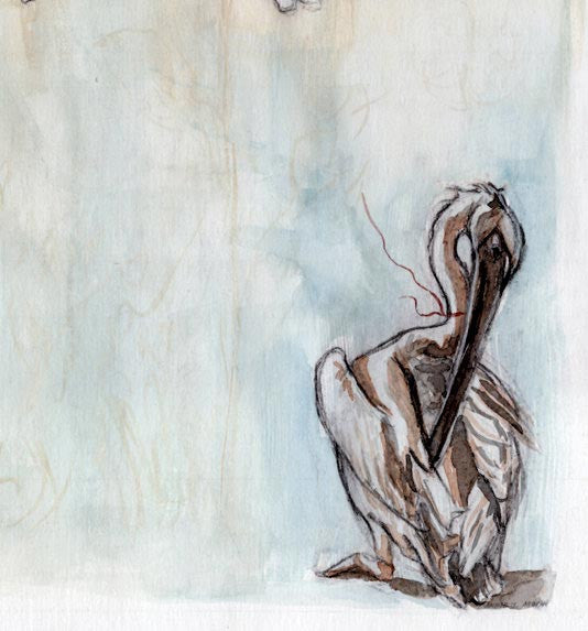 Pelican Inside Bahian Chapel Detail - I Know By Now - Fine Art Print - Annie Moran