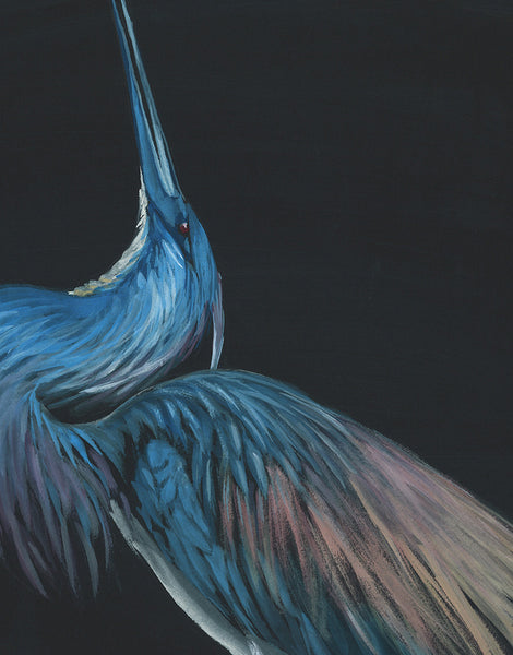 Tricolored Heron Posing - Fine Art Print