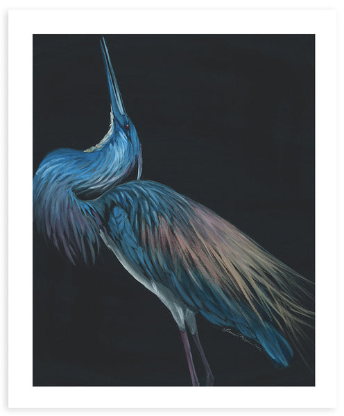Tricolored Heron Posing - Fine Art Print