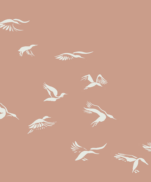 Landing Ducks - Blushing Terra